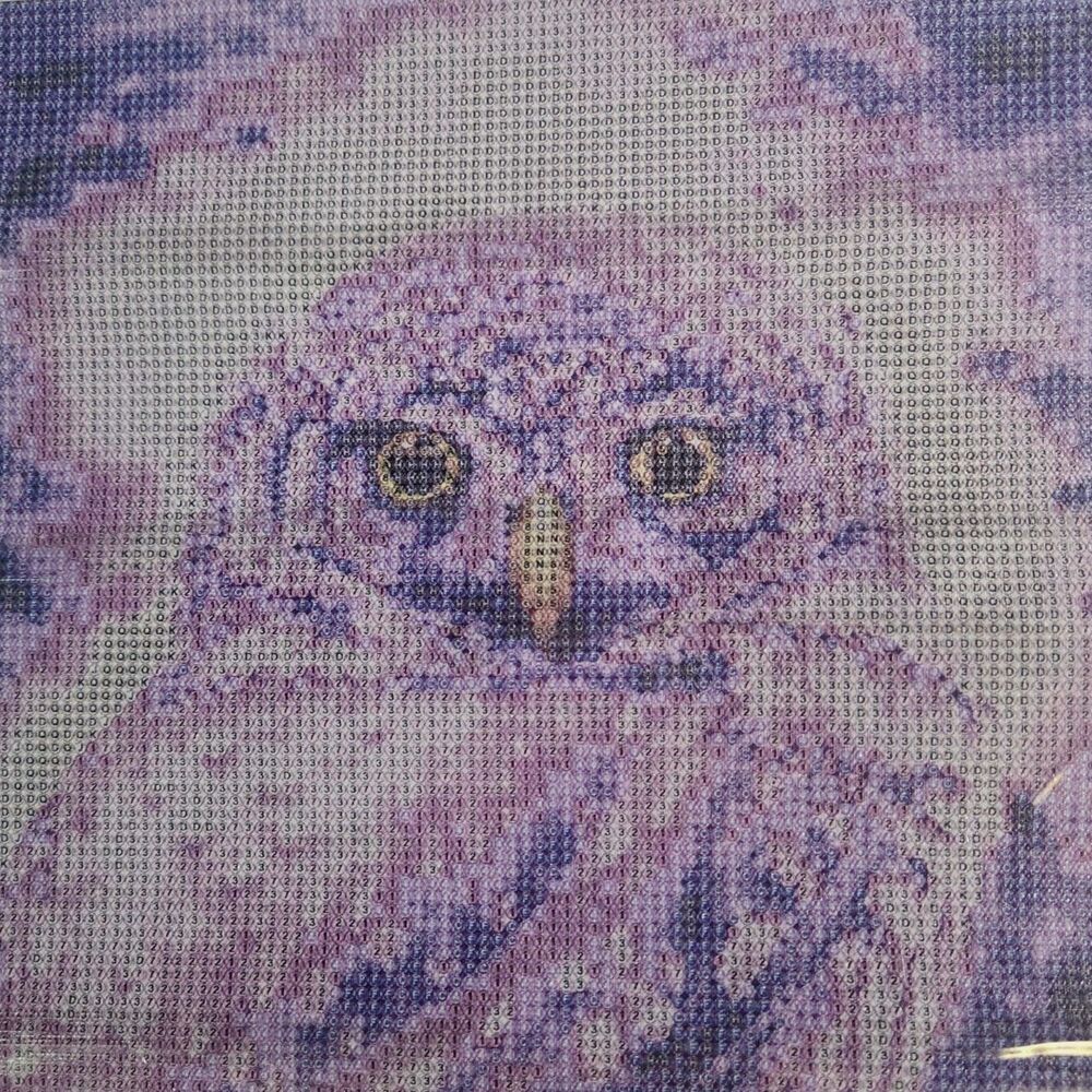 5D DIY Diamond Painting Owl at Nignt SN6106